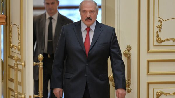 Александр Лукашенко перед началом пресс-конференции 29 января 2015 года - Sputnik Беларусь