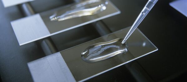 Исследование рака - Sputnik Беларусь