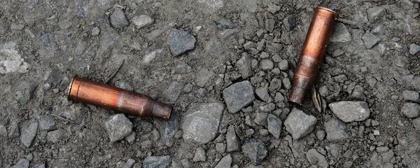 Гильзы - Sputnik Беларусь