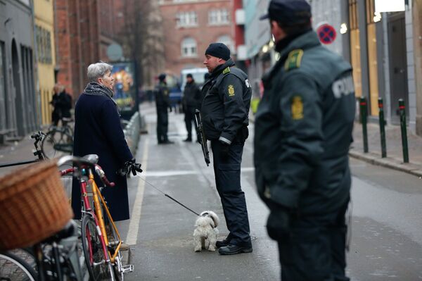 Полиция Копенгагена опрашивает свидетелей инцидента возле синагоги - Sputnik Беларусь