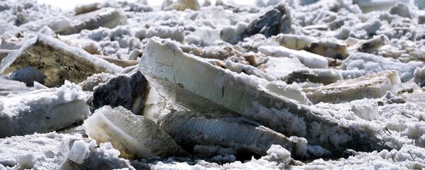 Ледоход в Новгородской области Ледоход в Новгородской области - Sputnik Беларусь