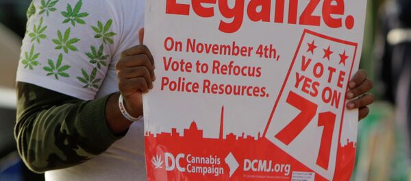 Избиратели Вашингтона высказались за легализацию каннабиса, архивное фото - Sputnik Беларусь