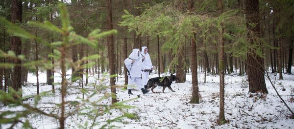 Охрана государственной границы - Sputnik Беларусь