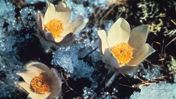 Беларусь на пороге весны: потепление – уже завтра