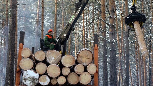 Заготовка леса, архивное фото - Sputnik Беларусь