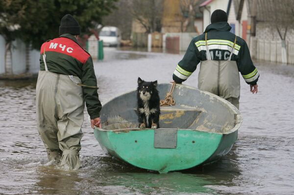 Как Свислочь из берегов выходила – вспоминаем впечатляющие половодья - Sputnik Беларусь