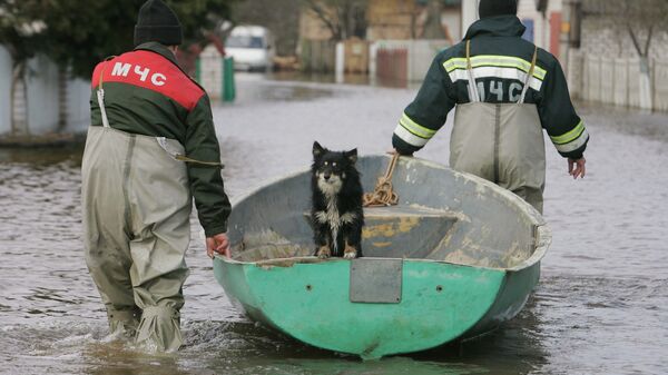 Подтопление домов в Минской области в результате подъема уровня воды на реке Неман - Sputnik Беларусь