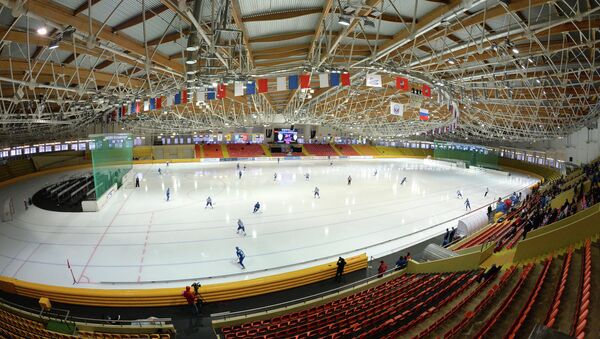 Матч Чемпионата мира по хоккею с мячом - Sputnik Беларусь