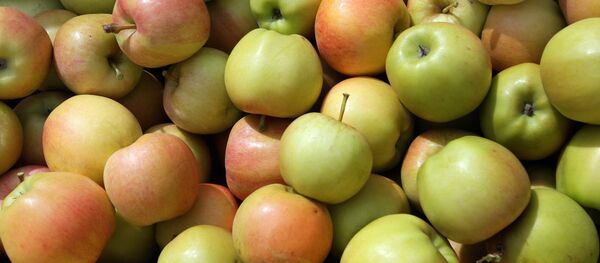 Яблоки - Sputnik Беларусь