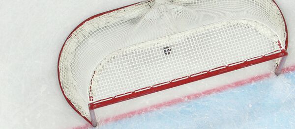 Шайба в воротах - Sputnik Беларусь