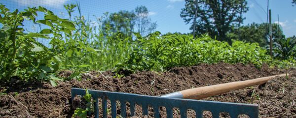 Грабли - Sputnik Беларусь