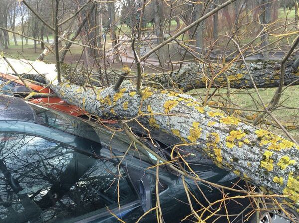 Udo в Минске - Sputnik Беларусь