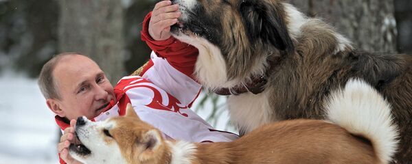 Президент России Владимир Путин с собаками Баффи и Юмэ - Sputnik Беларусь