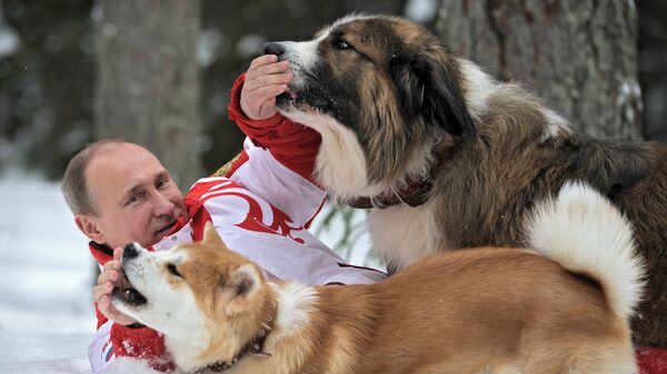 Президент России Владимир Путин с собаками Баффи и Юмэ - Sputnik Беларусь