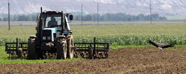 Трактор перепахивает почву на поле возле отвалов отработанной породы из шахт Беларуськалия под Солигорском Трактор перепахивает почву на поле возле отвалов отработанной породы из шахт Беларуськалия под Солигорском - Sputnik Беларусь