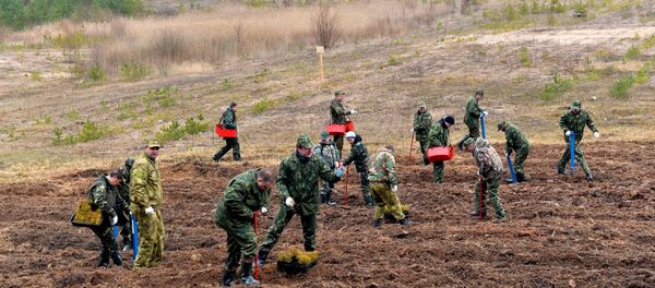 Суботнік у Валер'янаўскам лясніцтве Уздзенскага раёна Суботнік у Валер'янаўскам лясніцтве Уздзенскага раёна - Sputnik Беларусь