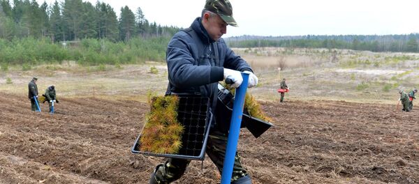 Первый вице-премьер Василий Матюшевский - Sputnik Беларусь