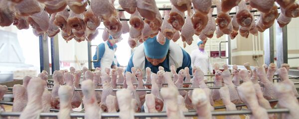 Подготовка голеней к запеканию в термокамере на птицефабрике - Sputnik Беларусь