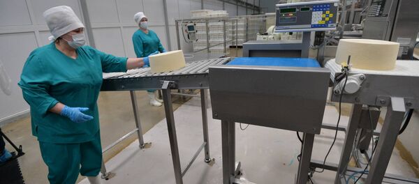 На Слуцком сыродельном комбинате - Sputnik Беларусь