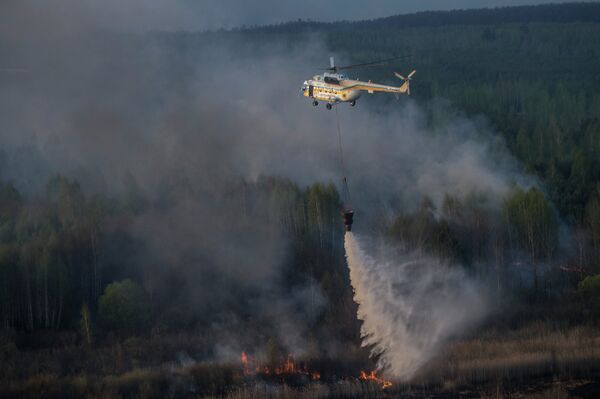 Тушение пожара в зоне отчуждения ЧАЭС - Sputnik Беларусь