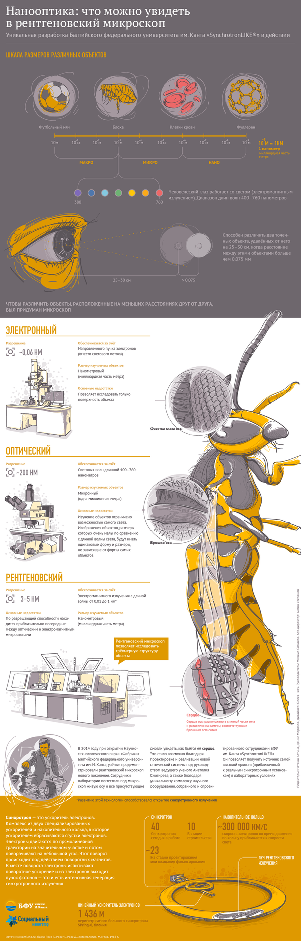Нанооптика: что можно увидеть в рентгеновский микроскоп - Sputnik Беларусь