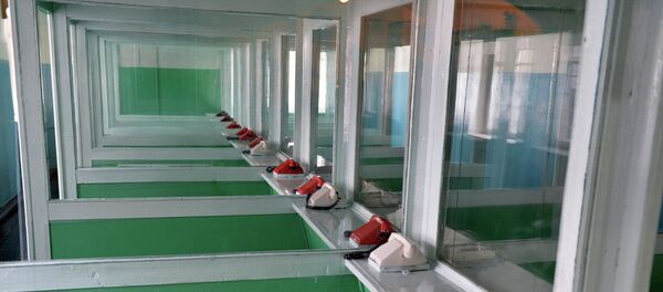 Место для свиданий - Sputnik Беларусь