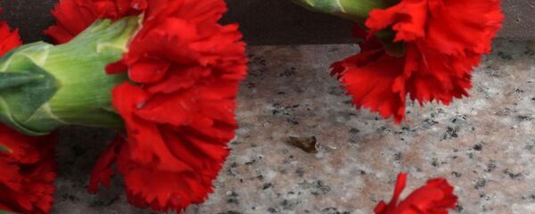 Жалобныя гваздзікі Жалобныя гваздзікі - Sputnik Беларусь