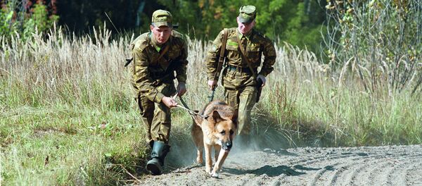 Преследование нарушителя пограничным нарядом - Sputnik Беларусь