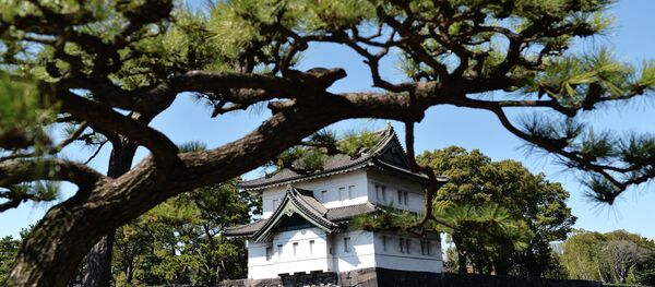 Комплекс будынкаў Імператарскага палаца ў горадзе Токіо Комплекс будынкаў Імператарскага палаца ў горадзе Токіо - Sputnik Беларусь