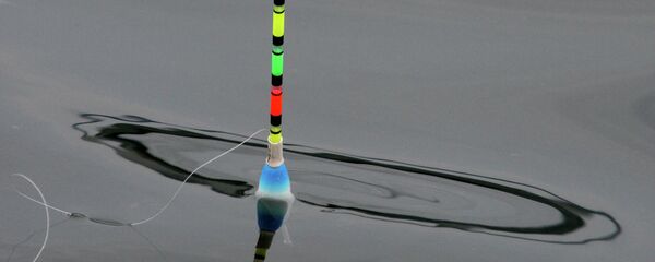 Поплавок Поплавок - Sputnik Беларусь