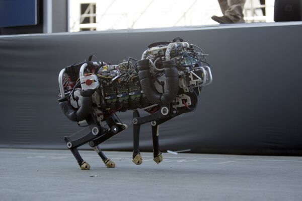 Робот-гепард Масачуссетского института технологии Робот-гепард Масачуссетского института технологии - Sputnik Беларусь