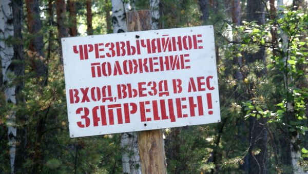 Введен режим запрета на посещение лесов - Sputnik Беларусь
