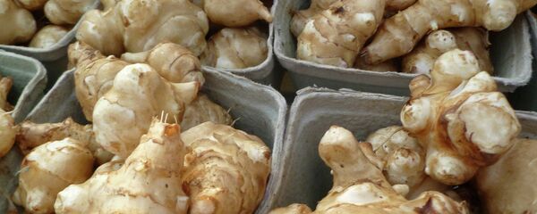 Клубни топинамбура - Sputnik Беларусь