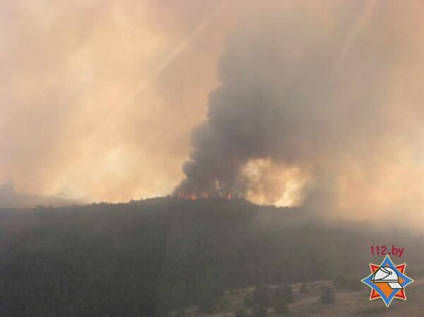 Лесные пожары в Гомельской области Лесные пожары в Гомельской области - Sputnik Беларусь