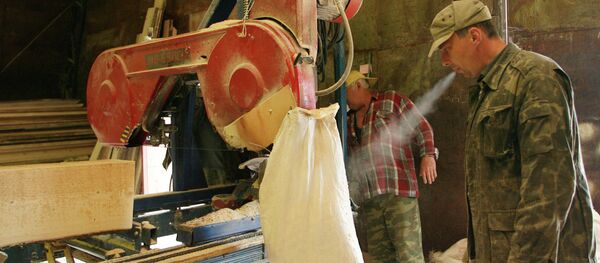 Рабочие лесопилки - Sputnik Беларусь