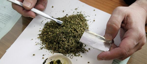 Специалист лаборатории по исследованию наркотических средств - Sputnik Беларусь