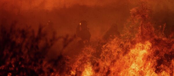 Природные пожары - Sputnik Беларусь