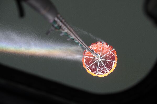 Тушение пожара в Хойникском районе - Sputnik Беларусь