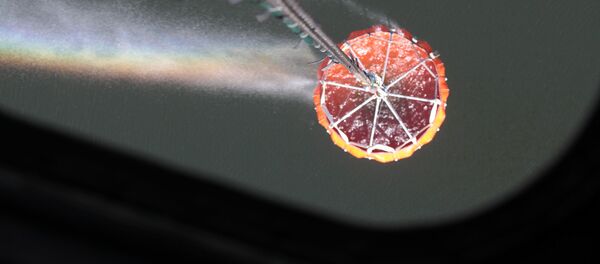 Тушение пожара в Хойникском районе Тушение пожара в Хойникском районе - Sputnik Беларусь