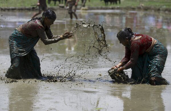 Праздник Асар-пандра в Непале - Sputnik Беларусь