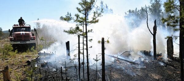 Борьба с лесными пожарами - Sputnik Беларусь