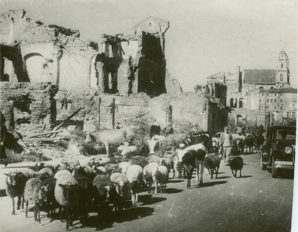 Домашний скот на улице Ленина. - Sputnik Беларусь