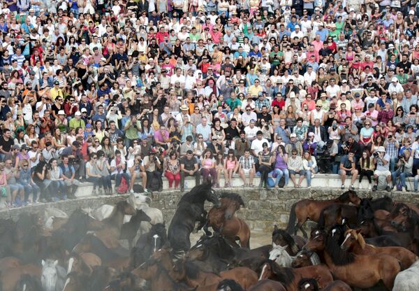 Тысячи зрителей приезжают в Сабуседо, чтобы наблюдать за противостоянием человека и лошади  - Sputnik Беларусь