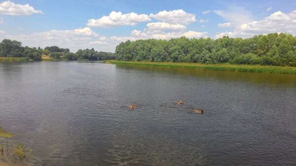 Река в Беларуси, архивное фото - Sputnik Беларусь