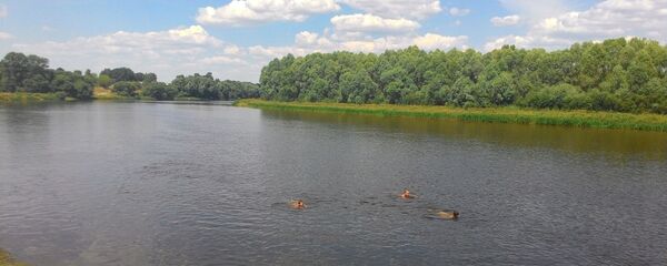 Река в Беларуси - Sputnik Беларусь