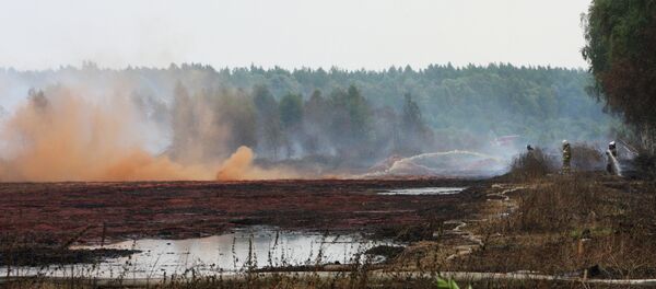 Тушение торфяных пожаров - Sputnik Беларусь