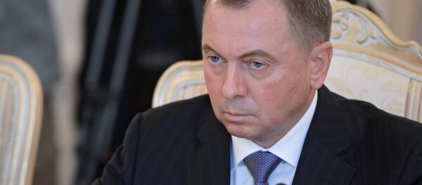 Министр иностранных дел Беларуси Владимир Макей Министр иностранных дел Беларуси Владимир Макей - Sputnik Беларусь