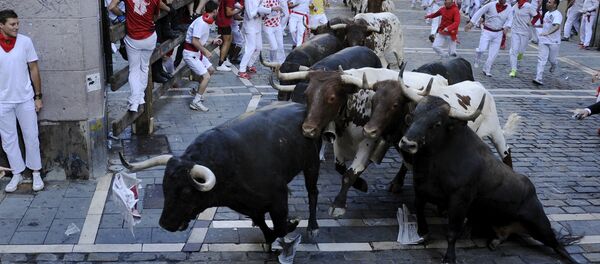 Забег быков на празднике Сан-Фермин в испанской Памплоне - Sputnik Беларусь