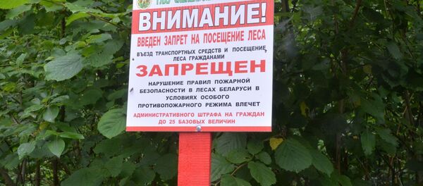 Табличка на въезде в лес, архивное фото - Sputnik Беларусь