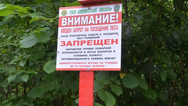 Табличка на въезде в лес, архивное фото - Sputnik Беларусь
